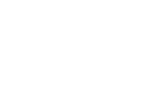 Local Standard Co
